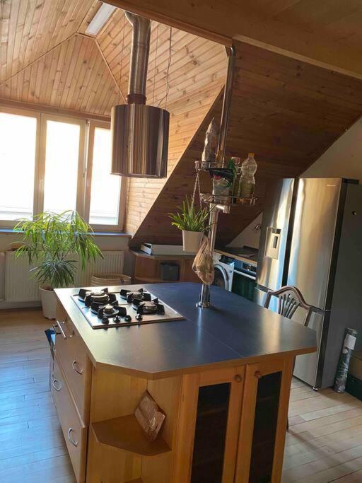 Rooftop 180M2 Loft With Private Sauna, Братислава Экстерьер фото