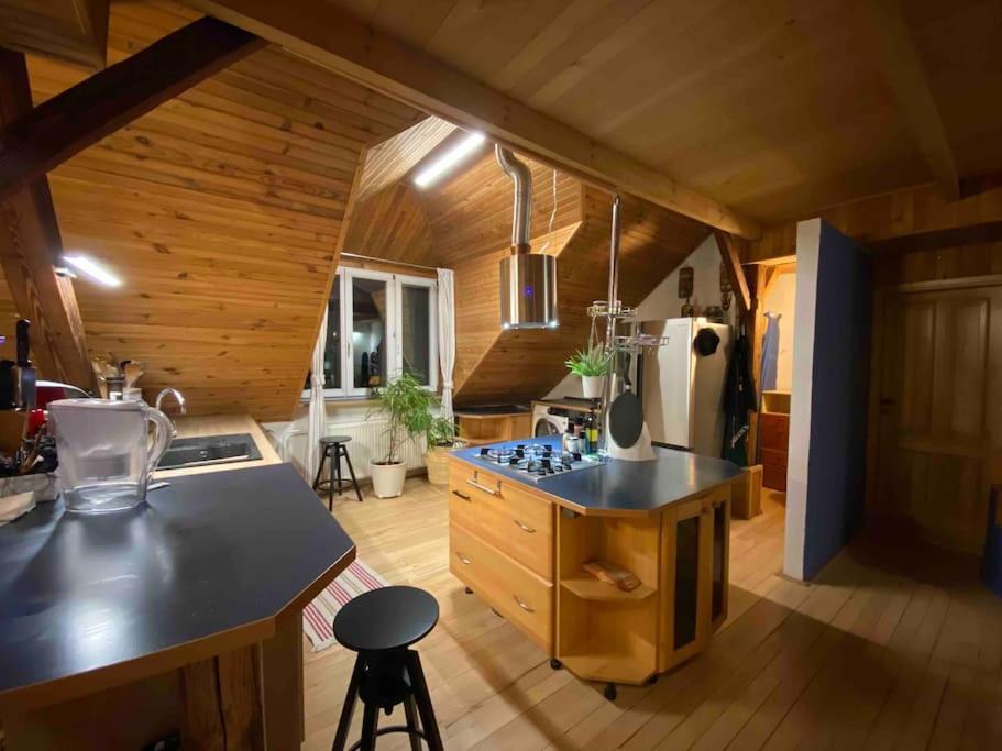 Rooftop 180M2 Loft With Private Sauna, Братислава Экстерьер фото
